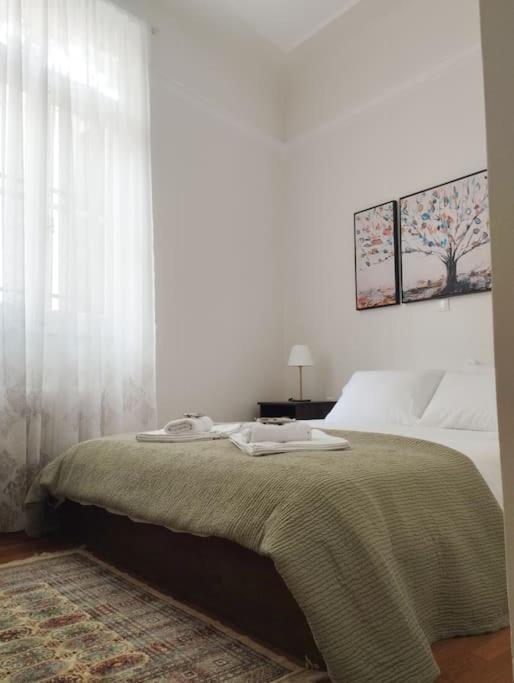 Calliope'S Neoclassical Home In The Heart Of Plaka Athena Bagian luar foto
